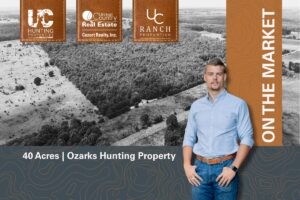 Property photo for land for sale in Howell County Missouri