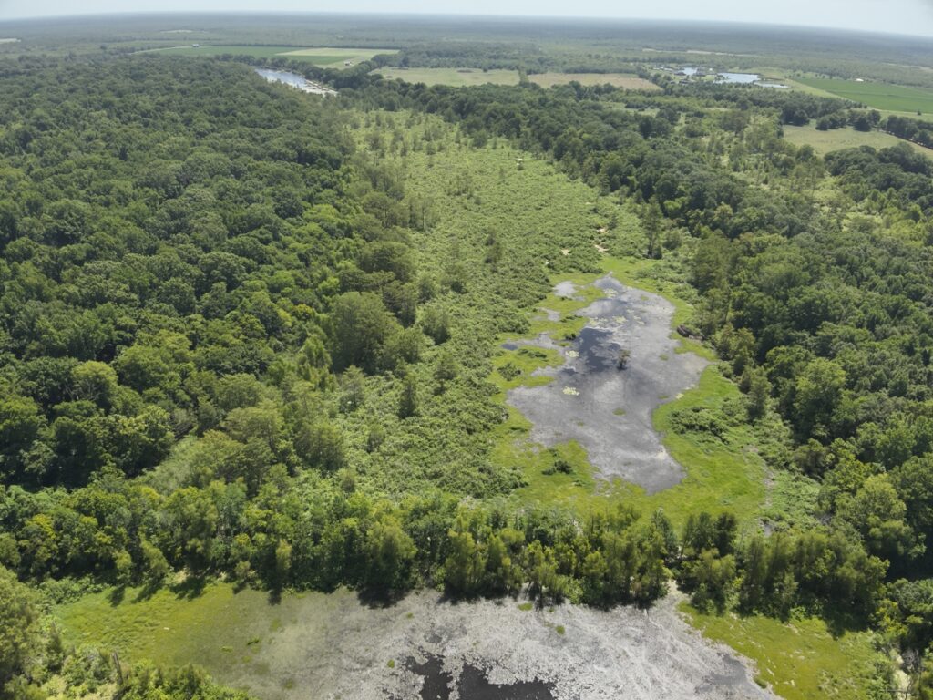 Property photo for land for sale in Lafayette County Arkansas