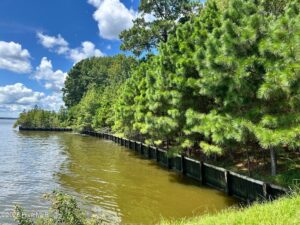 Property photo for land for sale in Perquimans County North Carolina