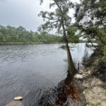 Property photo for land for sale in Lafayette County Florida