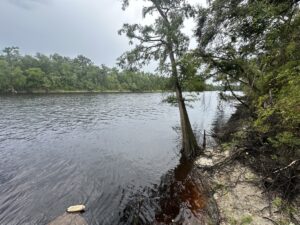 Property photo for land for sale in Lafayette County Florida