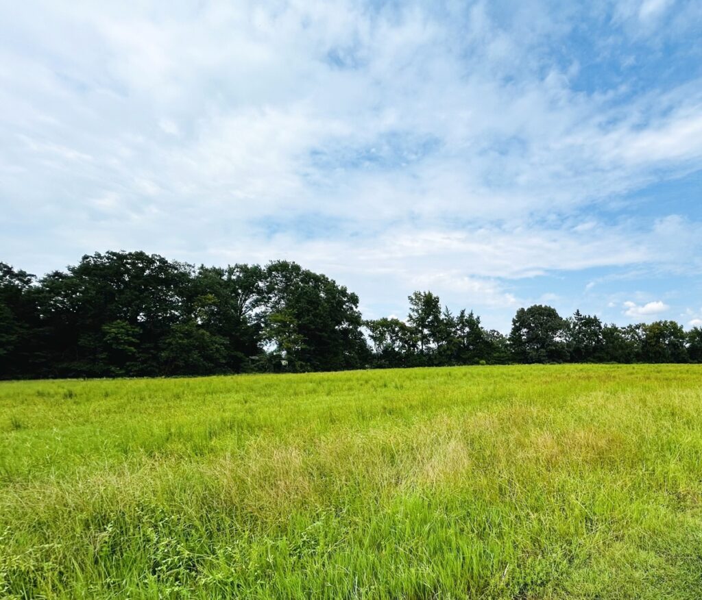 Property photo for land for sale in Wood County Texas