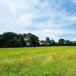 Property photo for land for sale in Wood County Texas