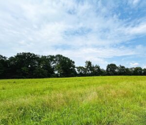 Property photo for land for sale in Wood County Texas