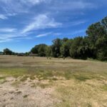 Property photo for land for sale in Titus County Texas