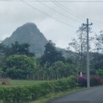 Property photo for land for sale in  County Panama