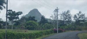 Property photo for land for sale in  County Panama