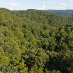 Property photo for land for sale in Hancock County Tennessee