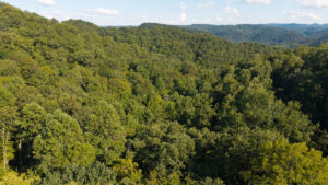 Property photo for land for sale in Hancock County Tennessee
