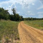 Property photo for land for sale in Hinds County Mississippi