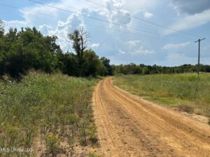Property photo for land for sale in Hinds County Mississippi