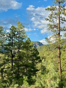 Property photo for land for sale in Rio Arriba County New Mexico