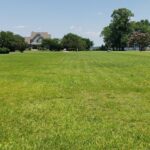 Property photo for land for sale in Bertie County North Carolina