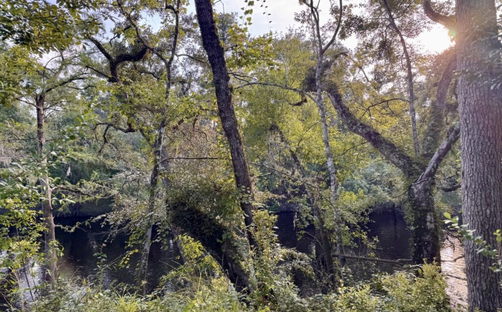 Property photo for land for sale in Hamilton County Florida