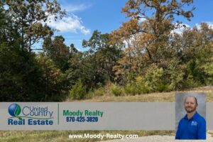 Property photo for land for sale in Baxter County Arkansas