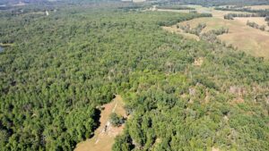 Property photo for land for sale in Dent County Missouri