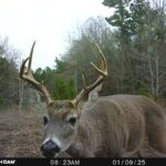 Property photo for land for sale in Harrison County Texas