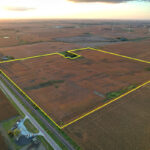 Property photo for land for sale in Greene County Iowa