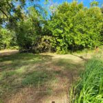 Property photo for land for sale in Lamar County Texas