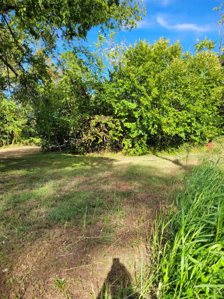 Property photo for land for sale in Lamar County Texas