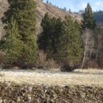 Property photo for land for sale in Yakima County Washington