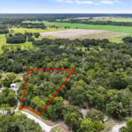 Property photo for land for sale in Levy County Florida