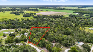Property photo for land for sale in Levy County Florida