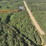 Property photo for land for sale in Nevada County Arkansas