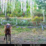 Property photo for land for sale in Montrose County Colorado