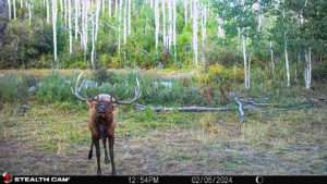 Property photo for land for sale in Montrose County Colorado