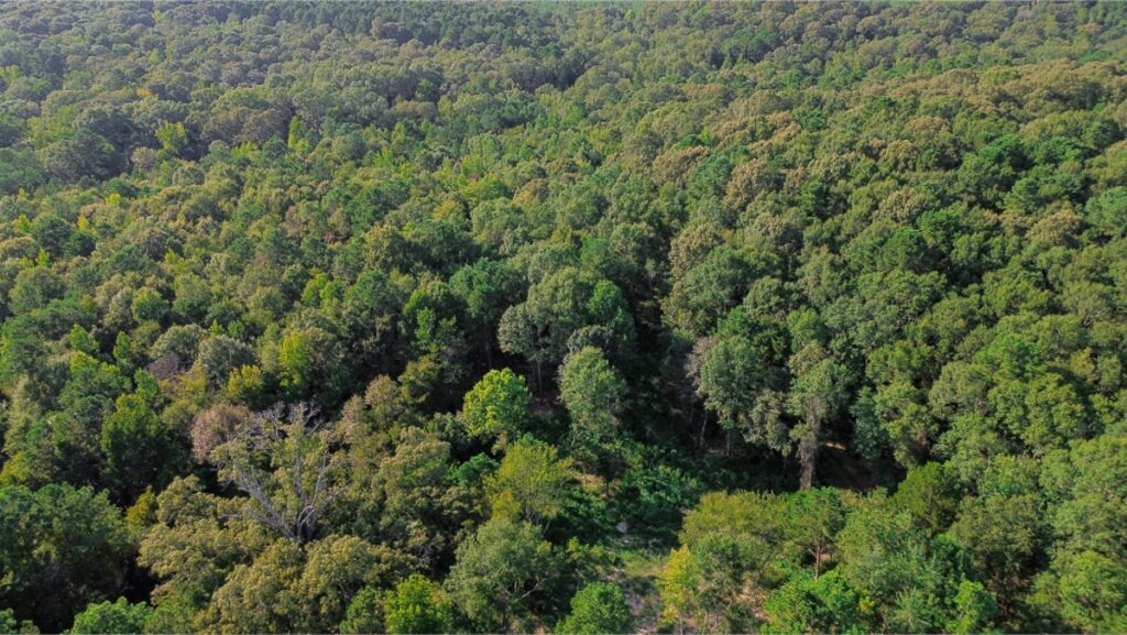 Property photo for land for sale in Lincoln County Louisiana