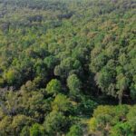 Property photo for land for sale in Lincoln County Louisiana