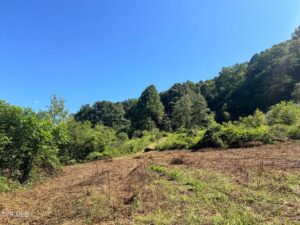 Property photo for land for sale in Hancock County Tennessee