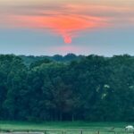 Property photo for land for sale in Dent County Missouri