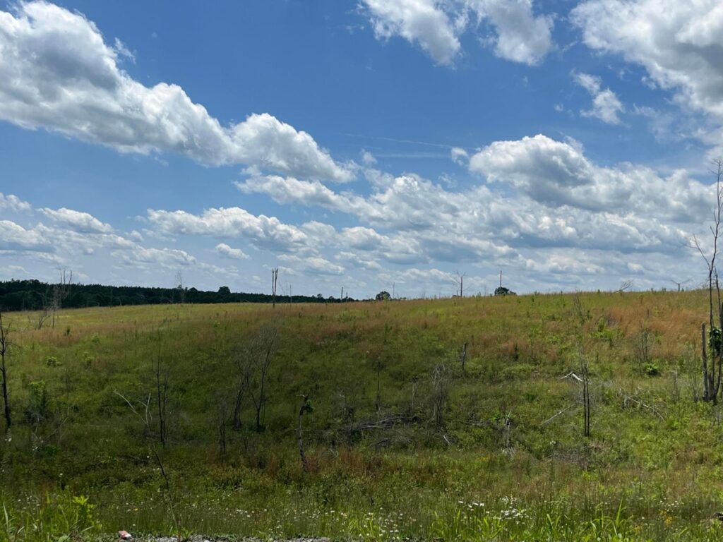 Property photo for land for sale in Sequatchie County Tennessee