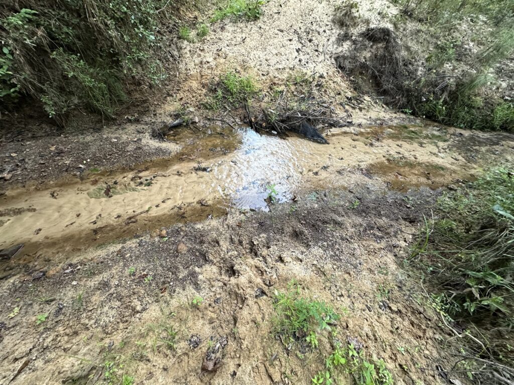 Property photo for land for sale in Cherokee County Texas