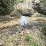 Property photo for land for sale in Cherokee County Texas