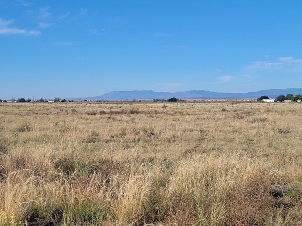 Property photo for land for sale in Torrance County New Mexico