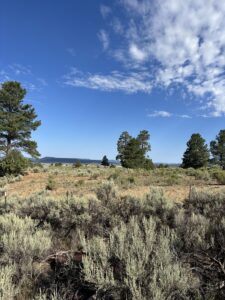 Property photo for land for sale in Rio Arriba County New Mexico