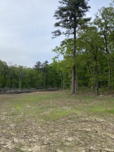 Property photo for land for sale in Searcy County Arkansas