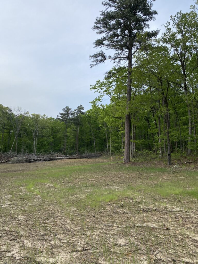Property photo for land for sale in Searcy County Arkansas