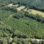 Property photo for land for sale in Union County Louisiana