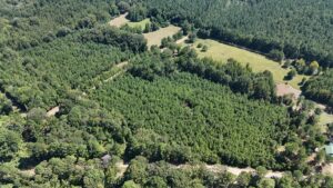 Property photo for land for sale in Union County Louisiana