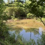 Property photo for land for sale in Cherokee County Texas