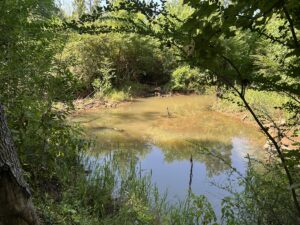 Property photo for land for sale in Cherokee County Texas