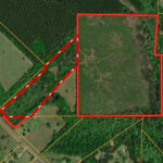 Property photo for land for sale in Jasper County Texas