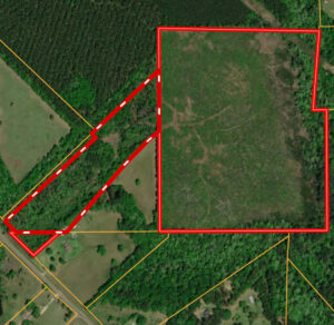 Property photo for land for sale in Jasper County Texas
