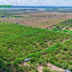 Property photo for land for sale in San Patricio County Texas