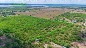 Property photo for land for sale in San Patricio County Texas