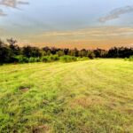 Property photo for land for sale in Lafayette County Florida
